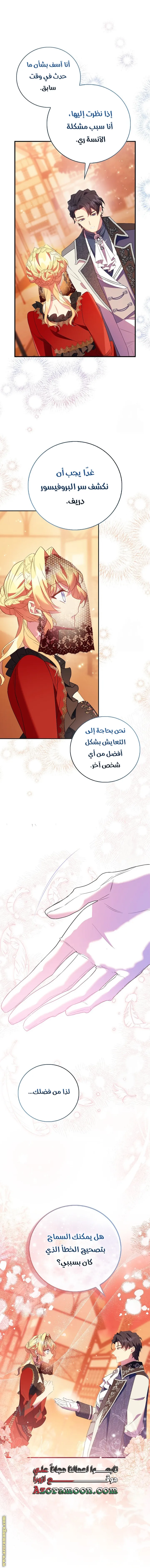الصفحة 17