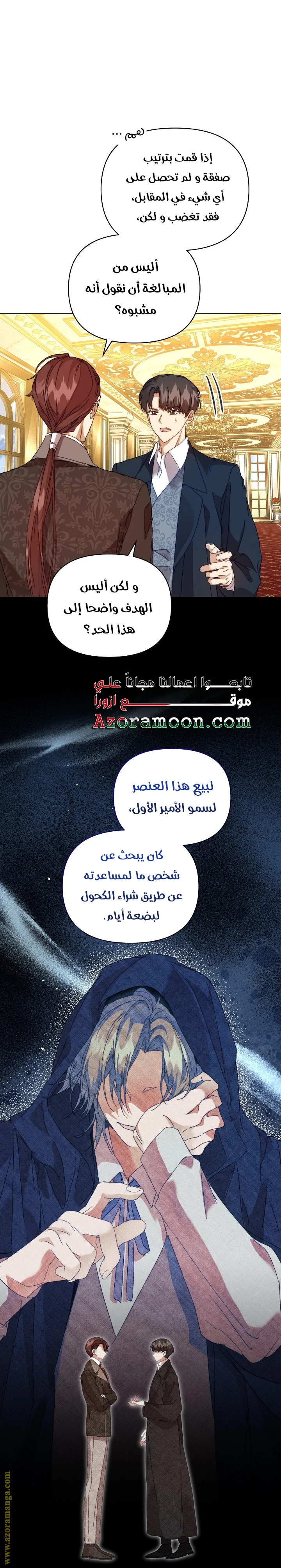 الصفحة 29