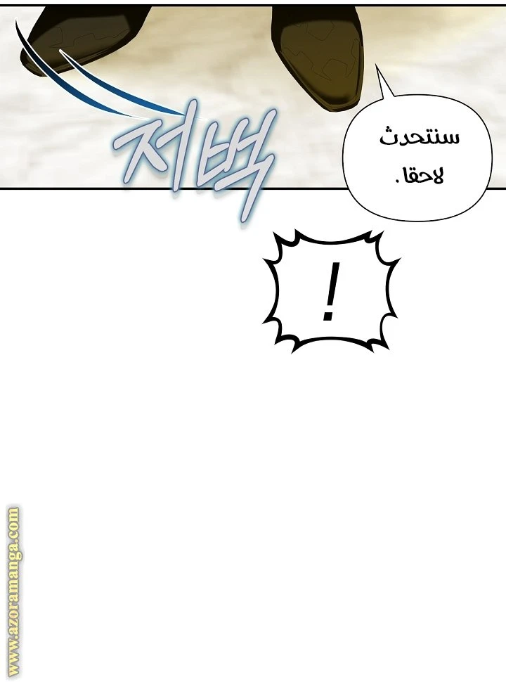 الصفحة 29