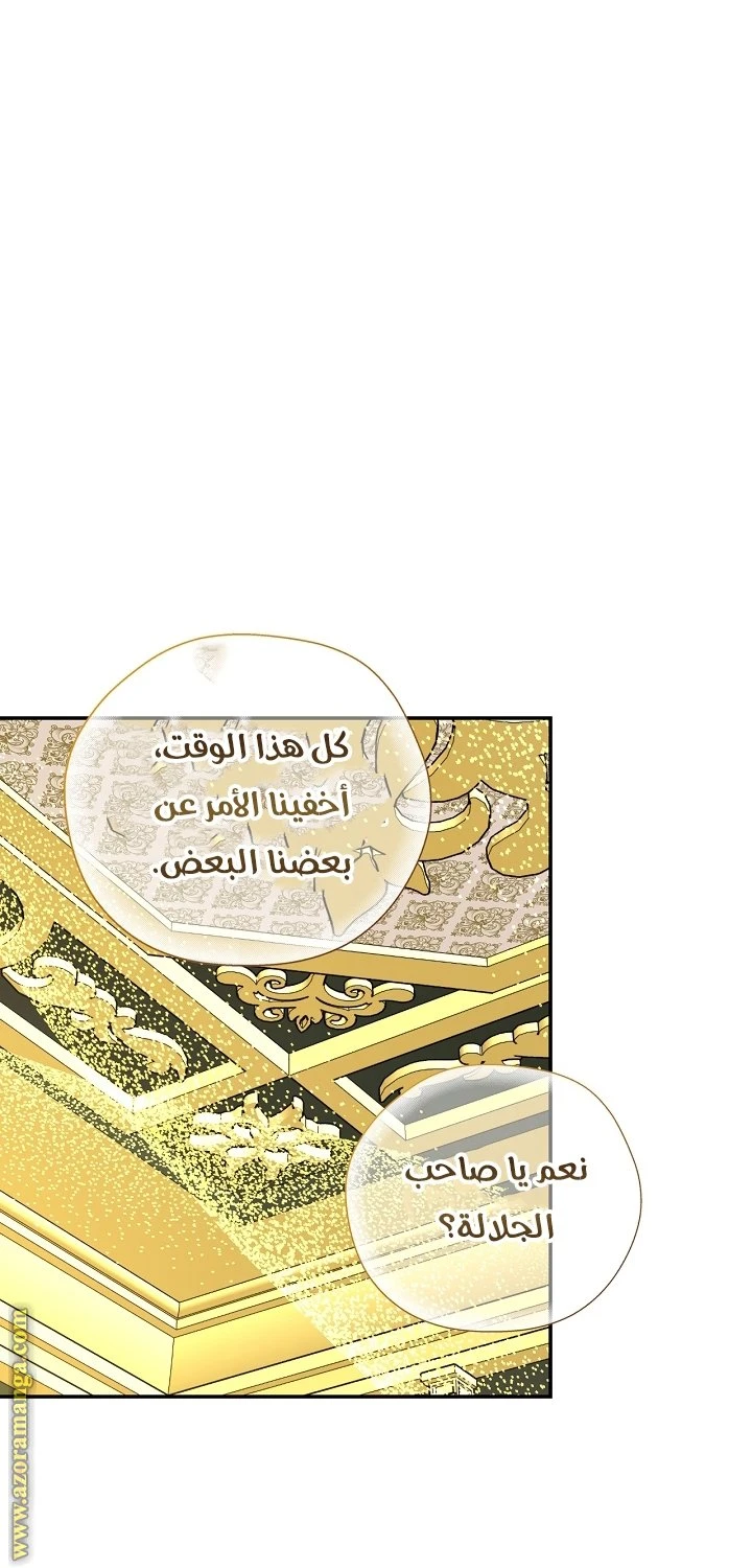 الصفحة 41