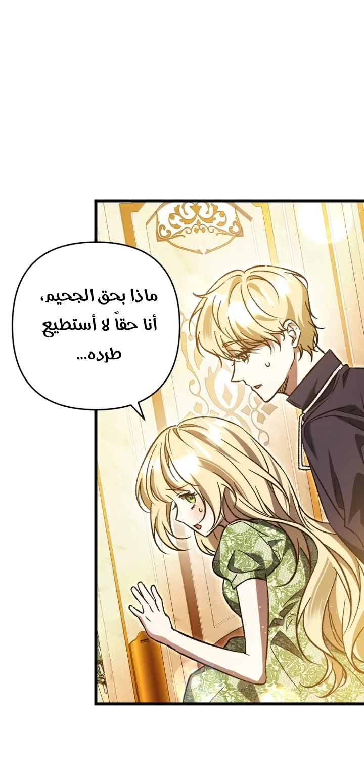 الصفحة 19