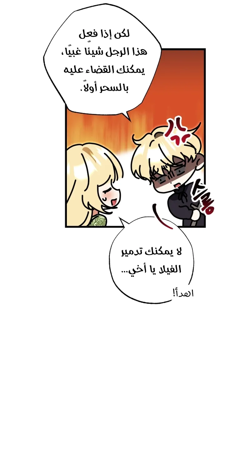 الصفحة 22