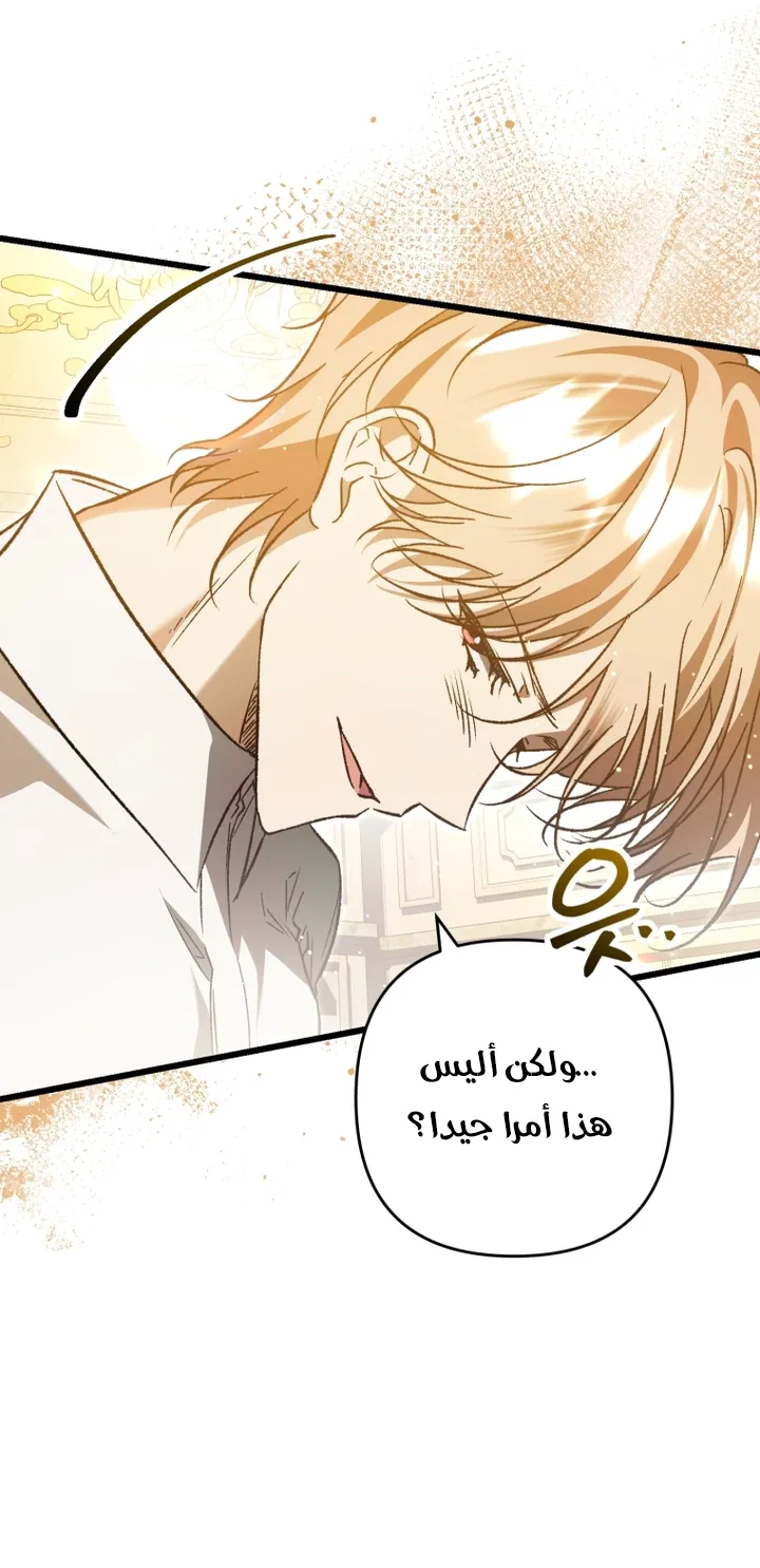 الصفحة 26