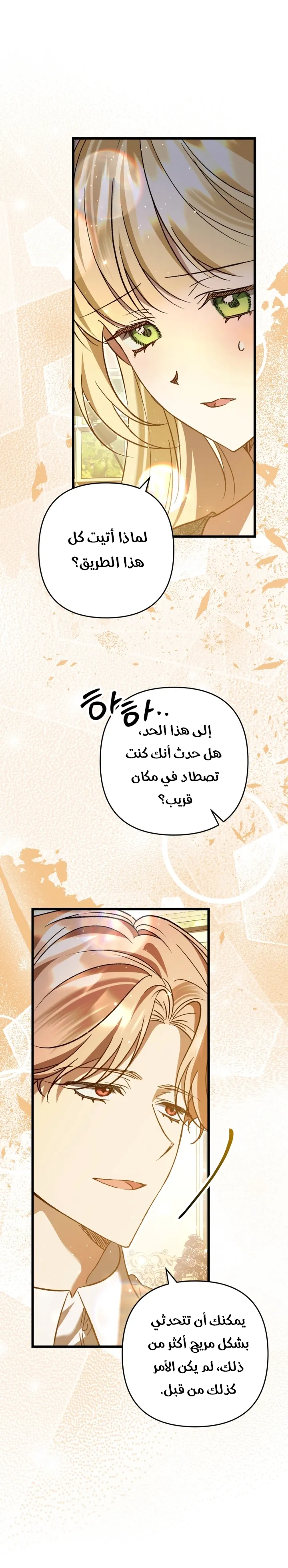 الصفحة 28