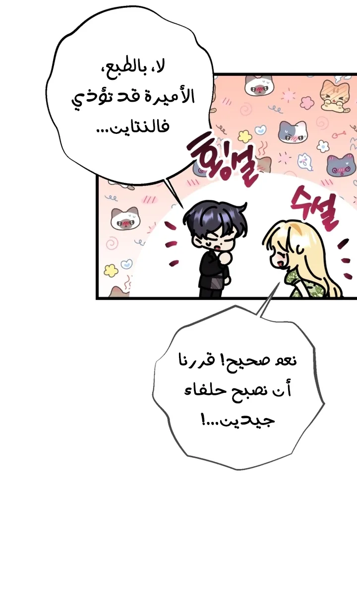 الصفحة 52