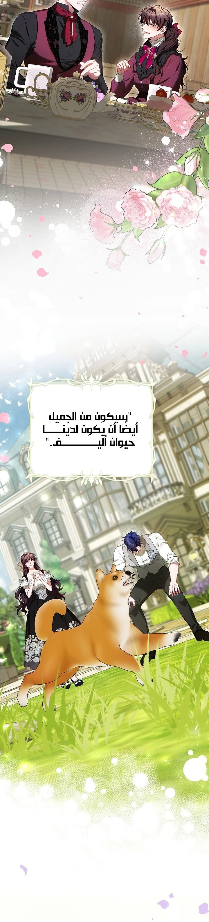 الصفحة 15