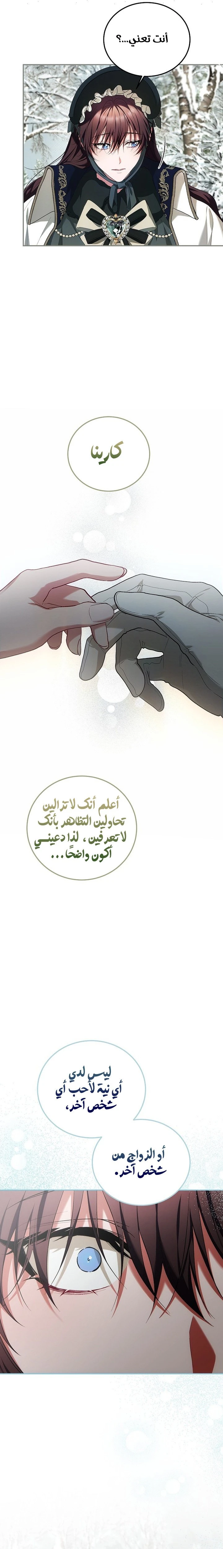 الصفحة 25