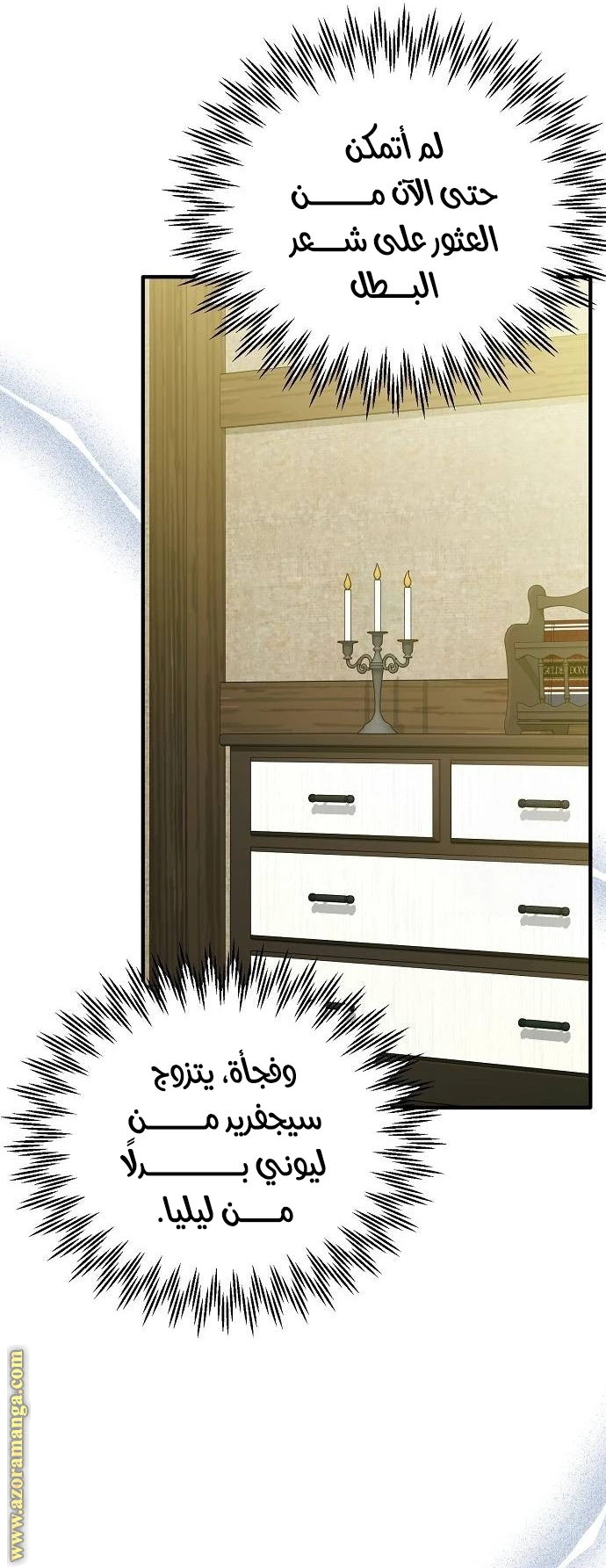 الصفحة 17