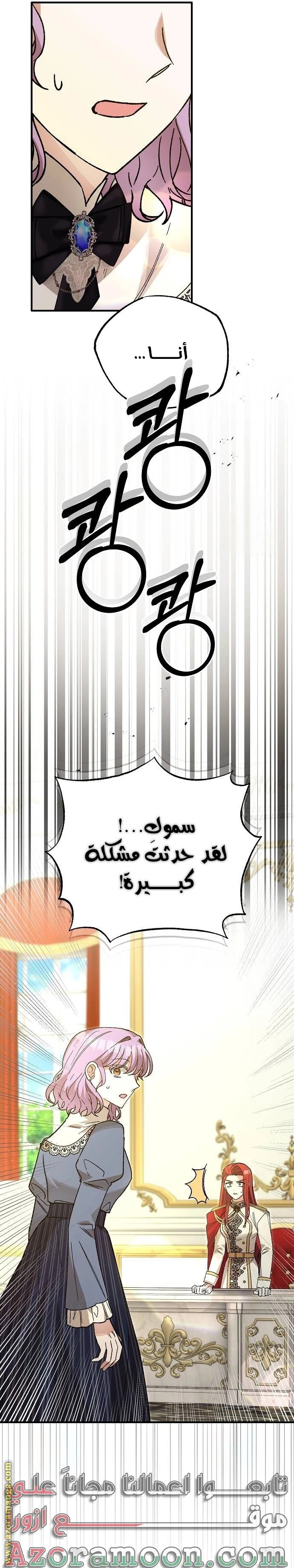الصفحة 48