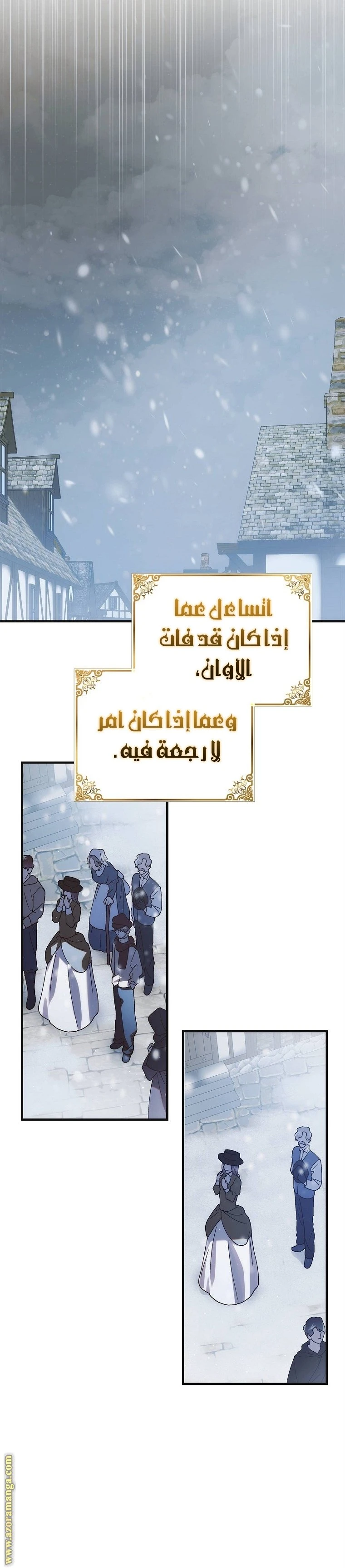 الصفحة 17