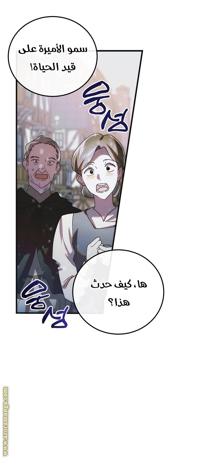 الصفحة 31