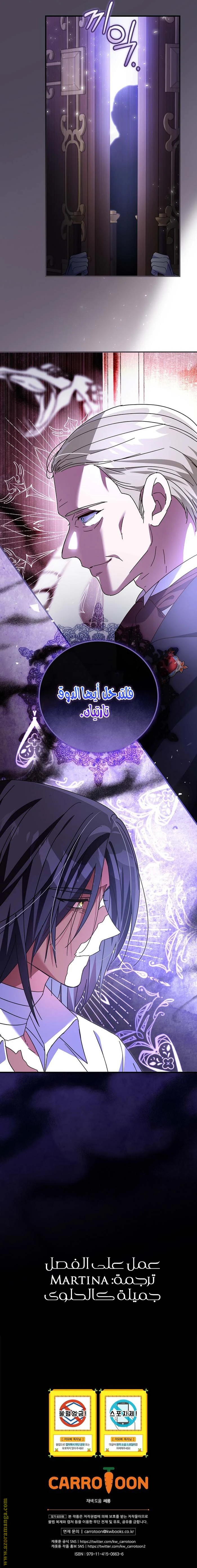 الصفحة 13