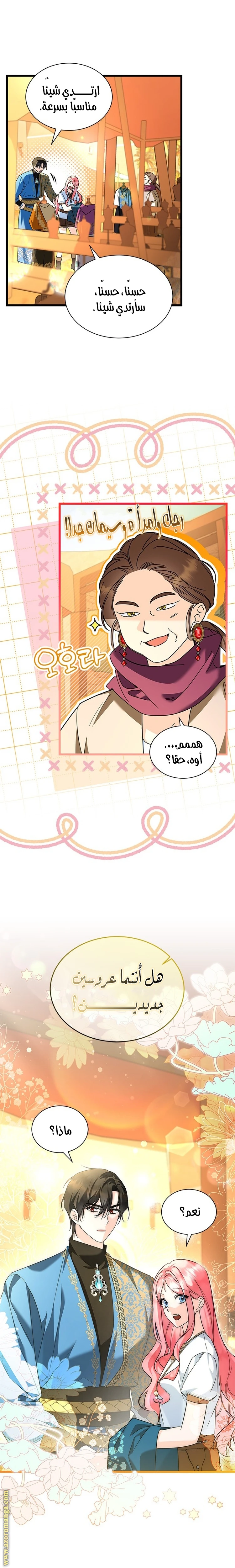 الصفحة 13
