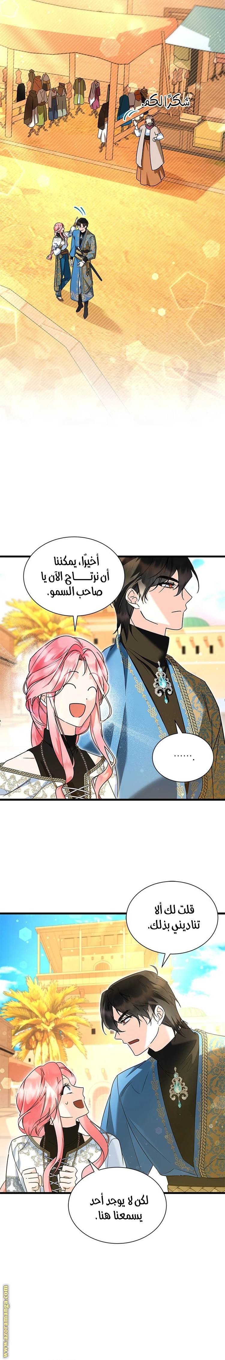 الصفحة 15