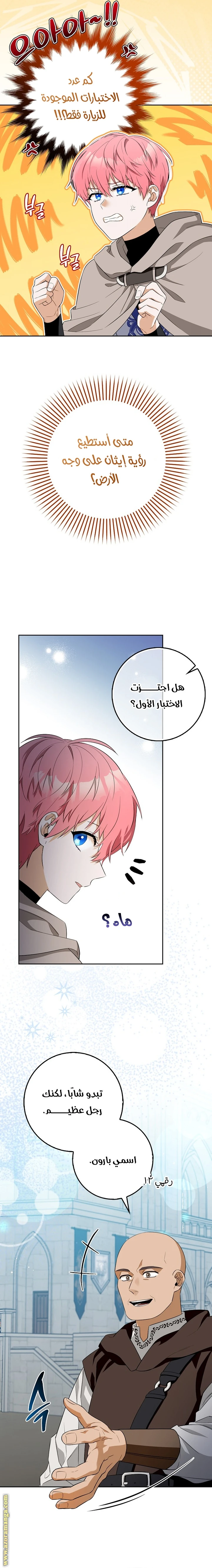 الصفحة 13