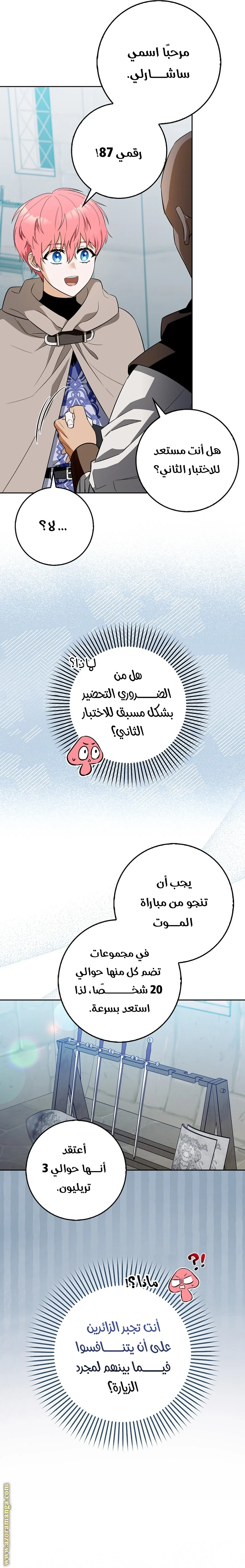 الصفحة 14