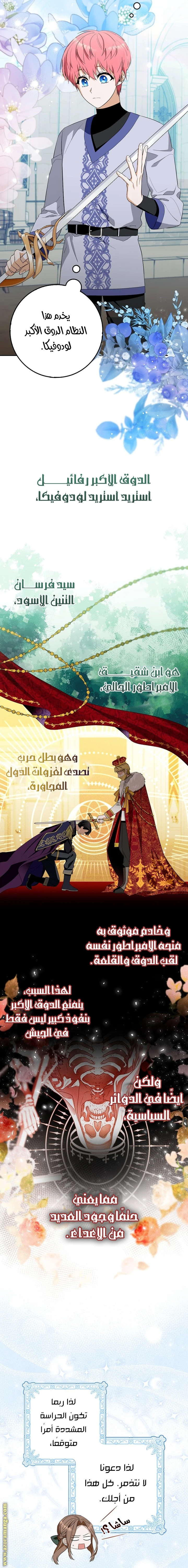 الصفحة 16