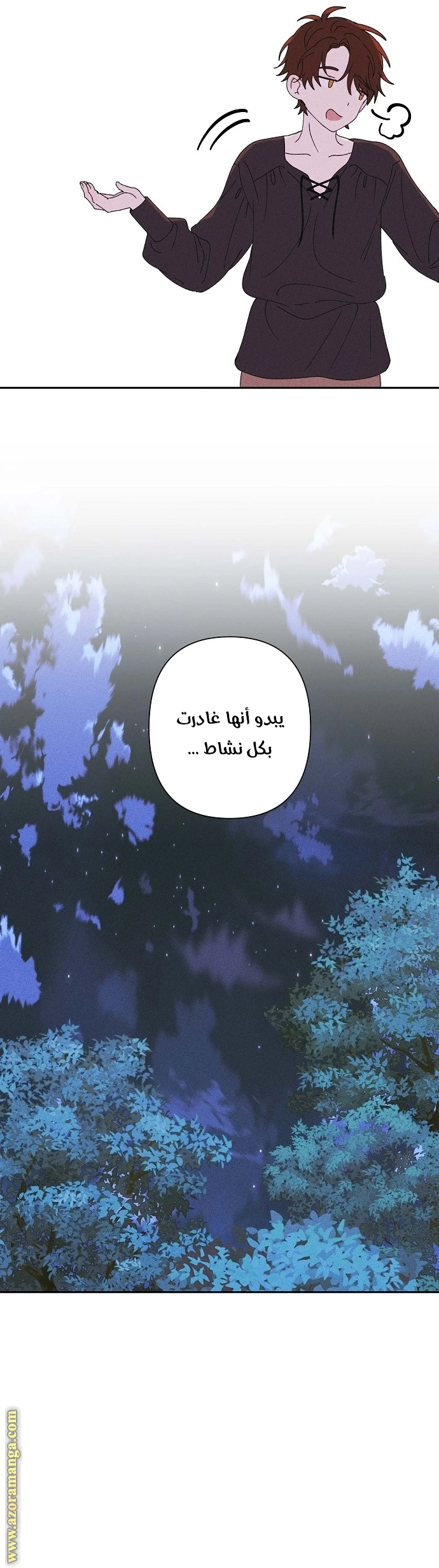 الصفحة 12