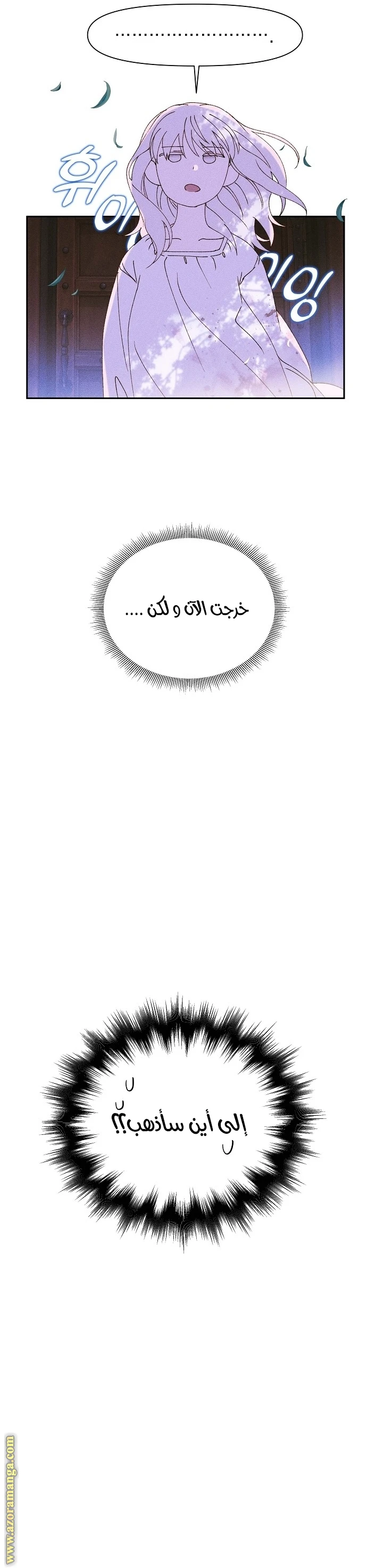 الصفحة 13