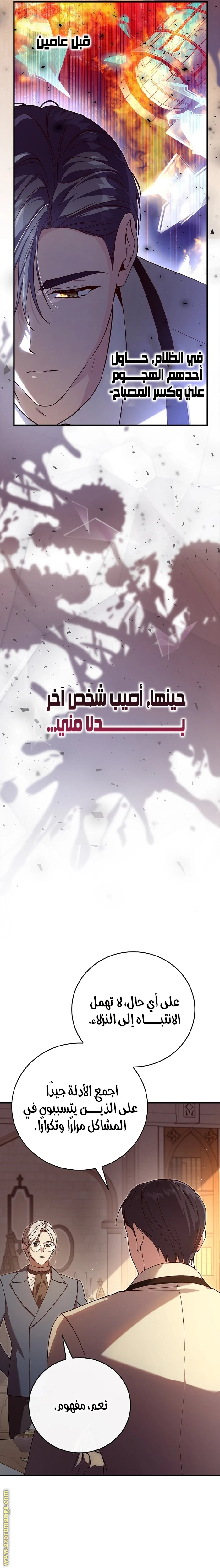 الصفحة 17