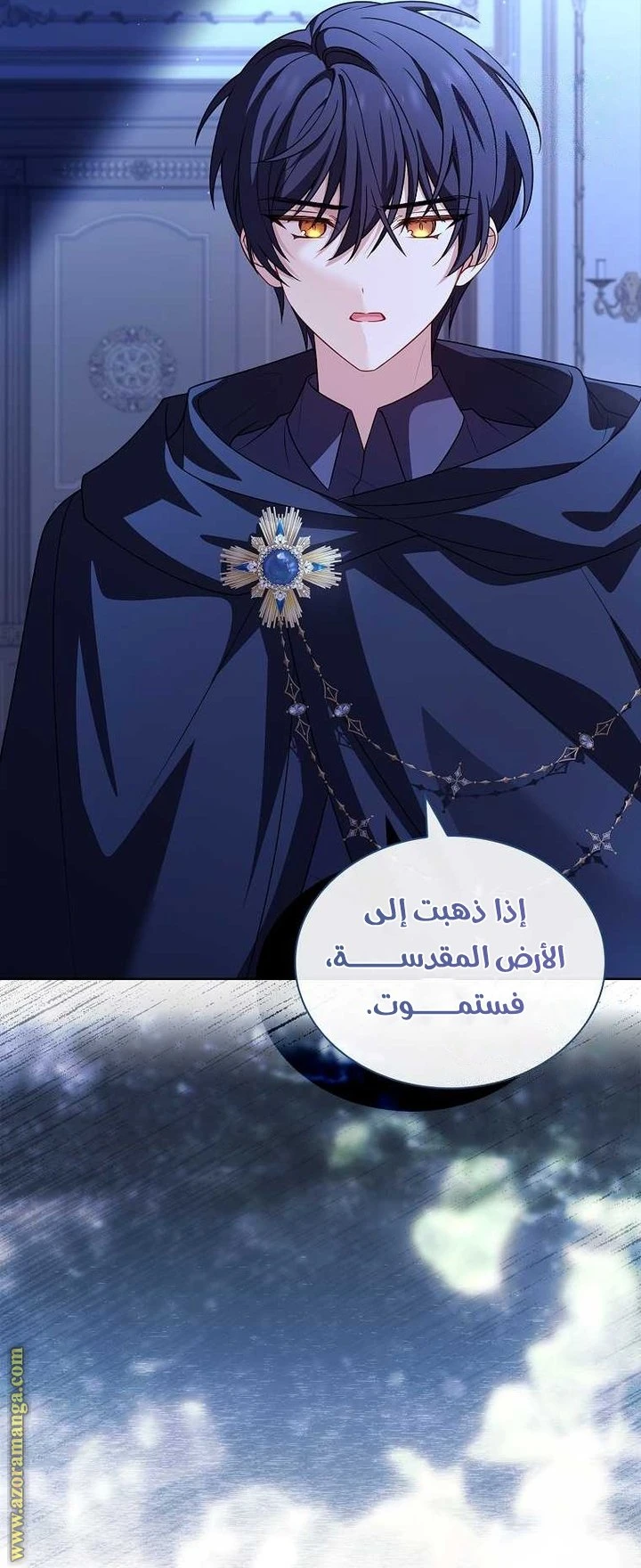 الصفحة 12