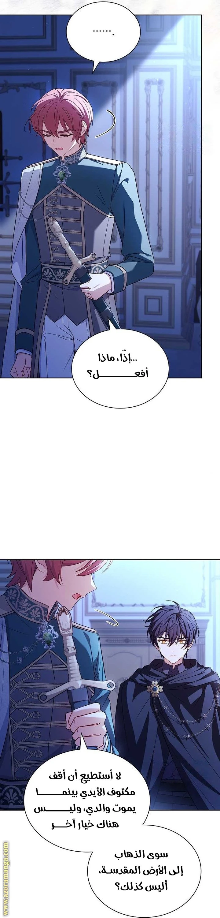 الصفحة 13
