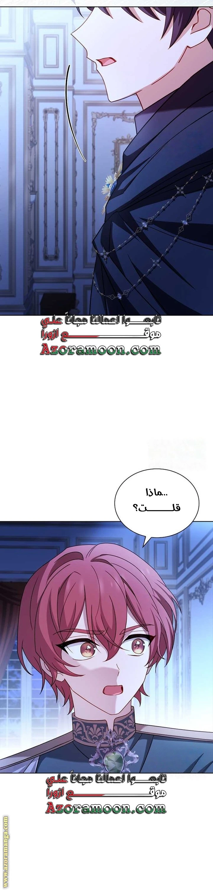 الصفحة 17