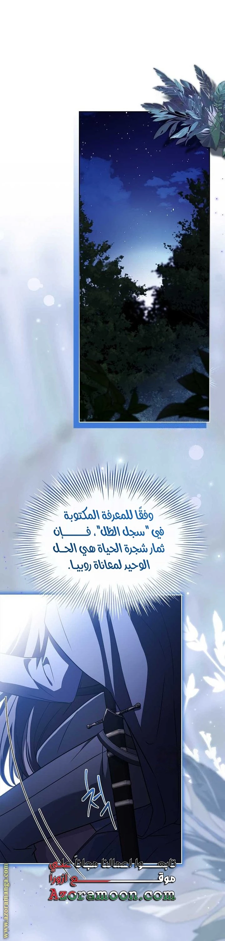 الصفحة 29