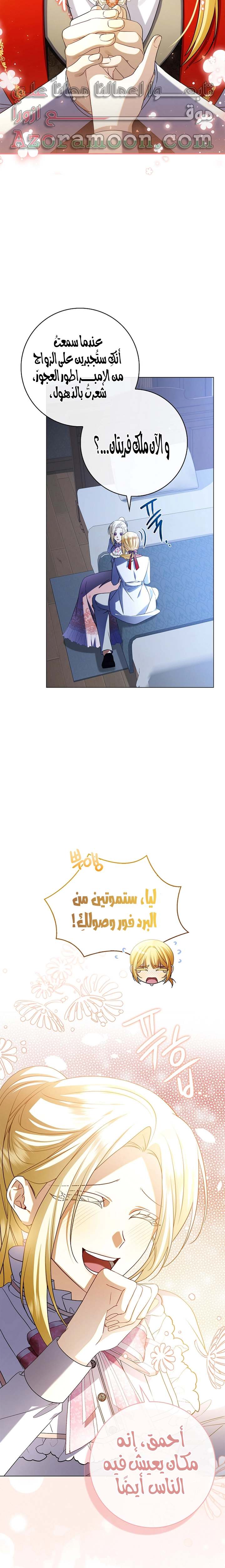 الصفحة 13