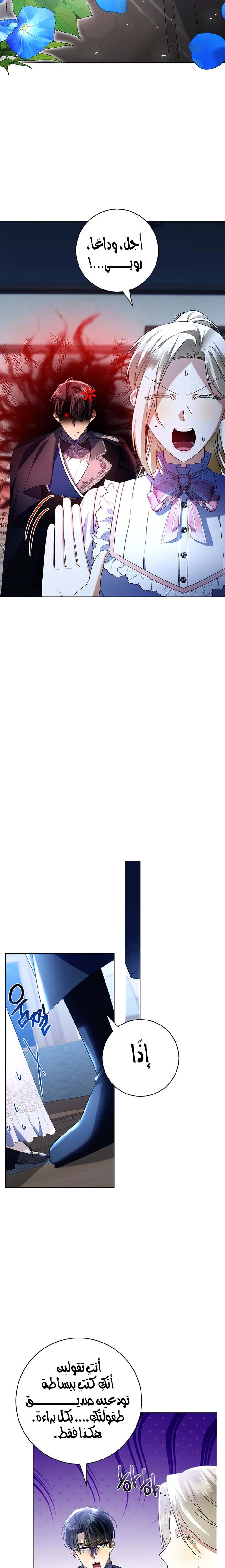 الصفحة 24