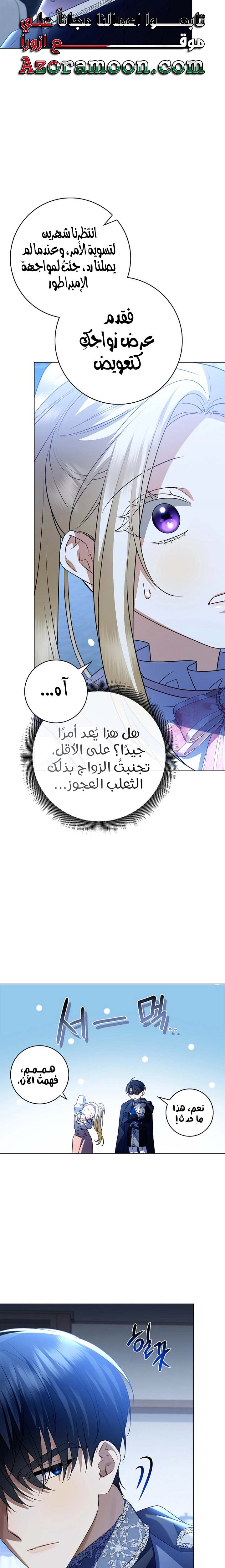 الصفحة 29