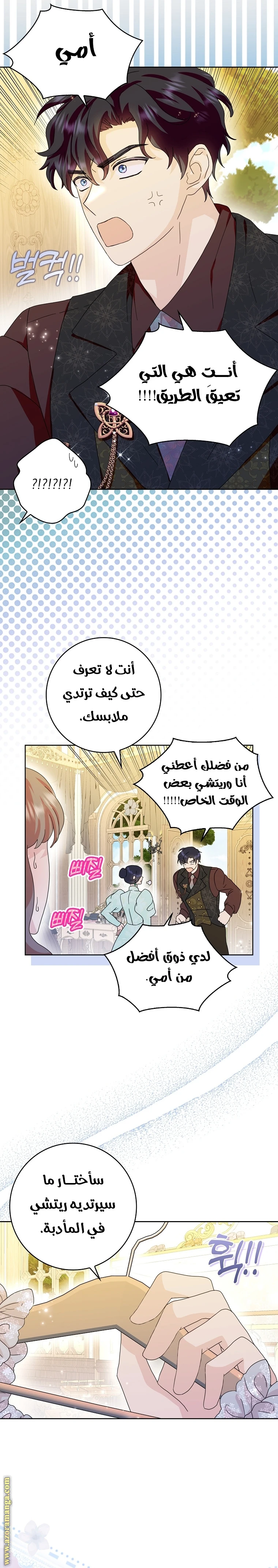 الصفحة 17