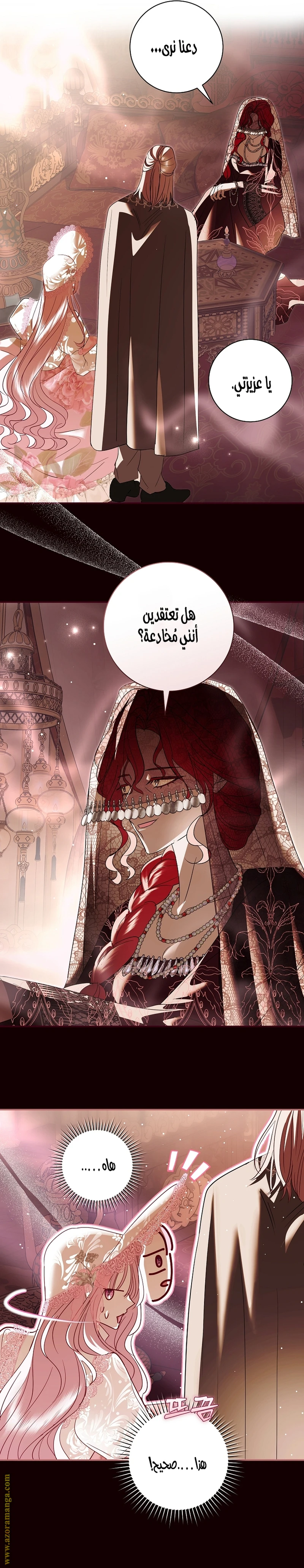 الصفحة 17