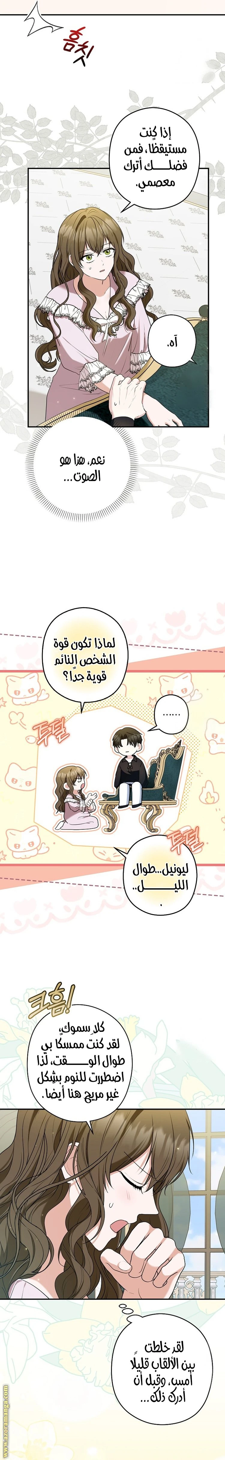 الصفحة 17