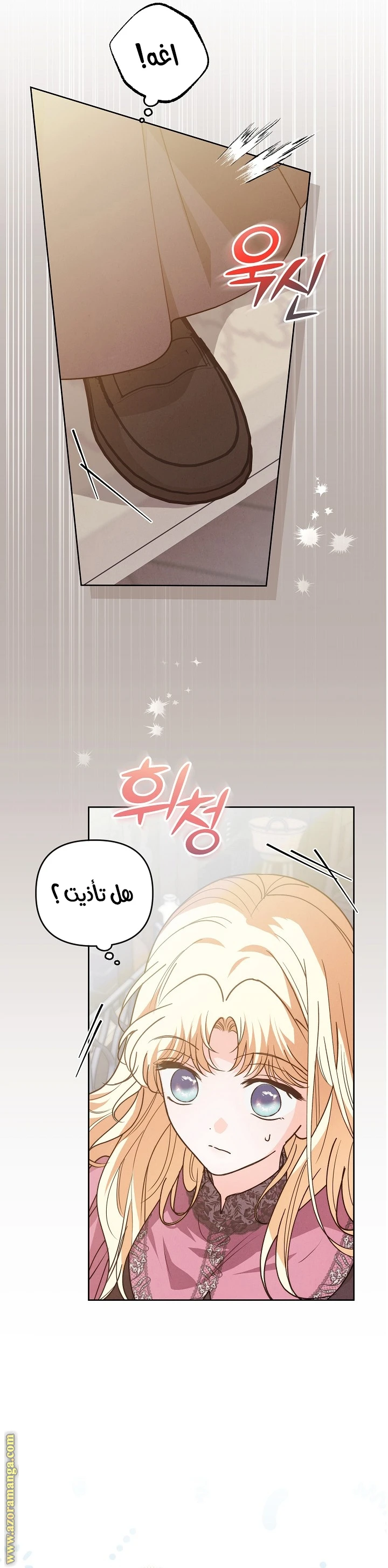 الصفحة 25