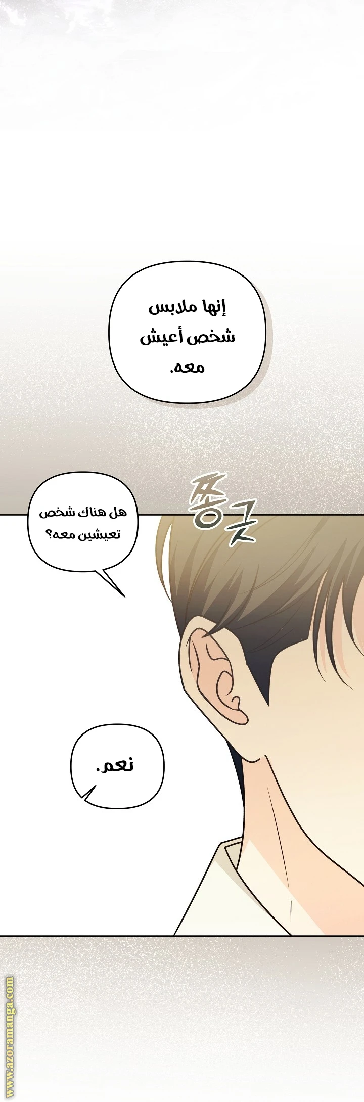الصفحة 29
