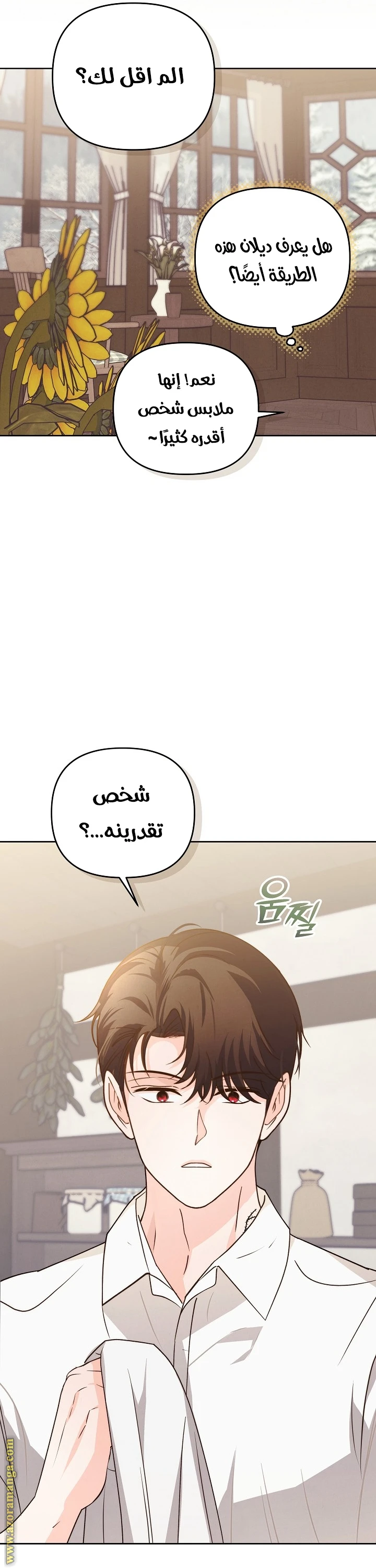 الصفحة 30