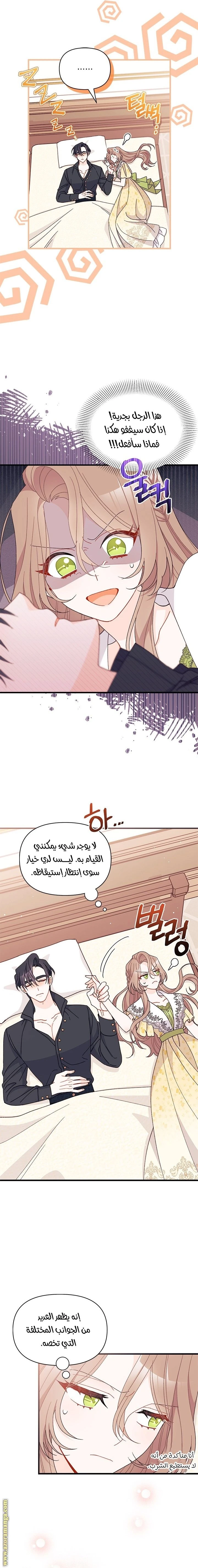 الصفحة 17