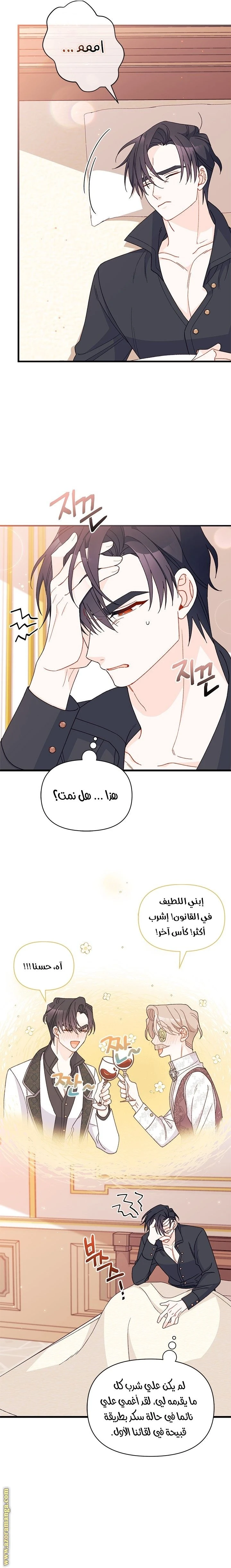 الصفحة 20