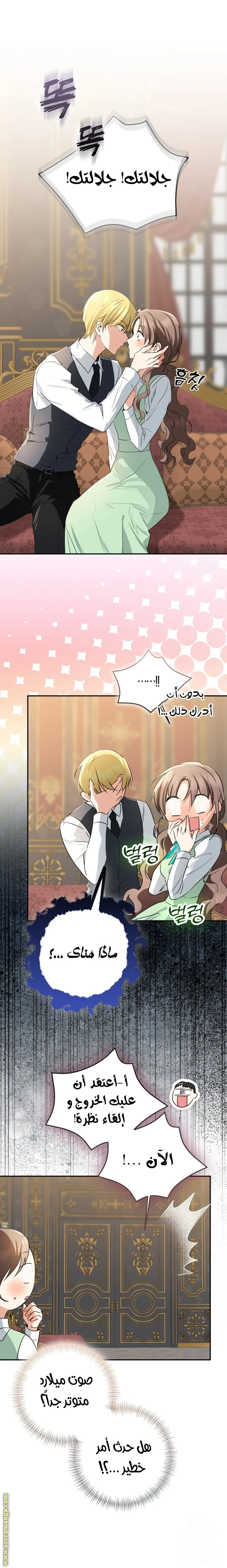 الصفحة 17