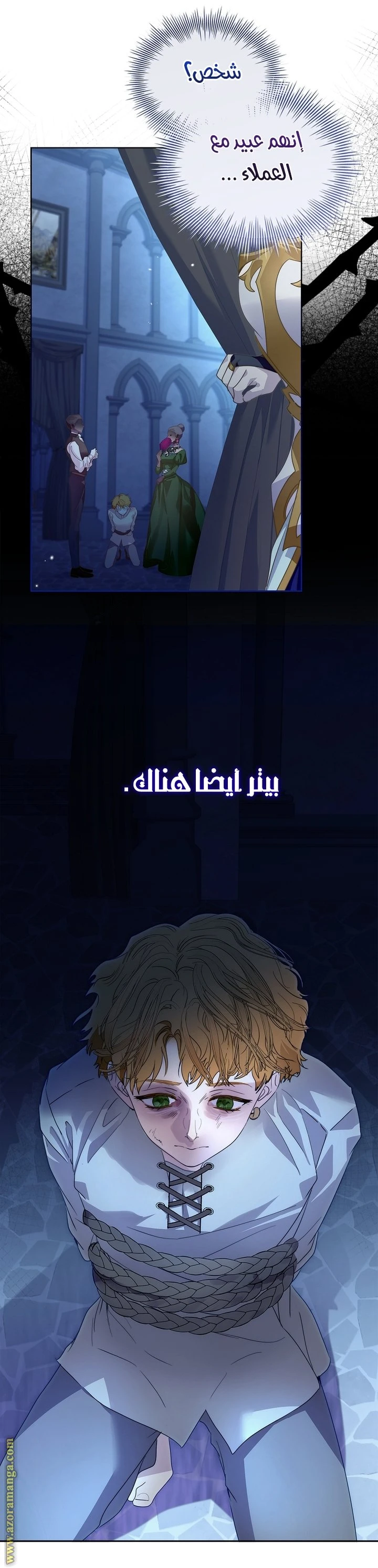 الصفحة 27