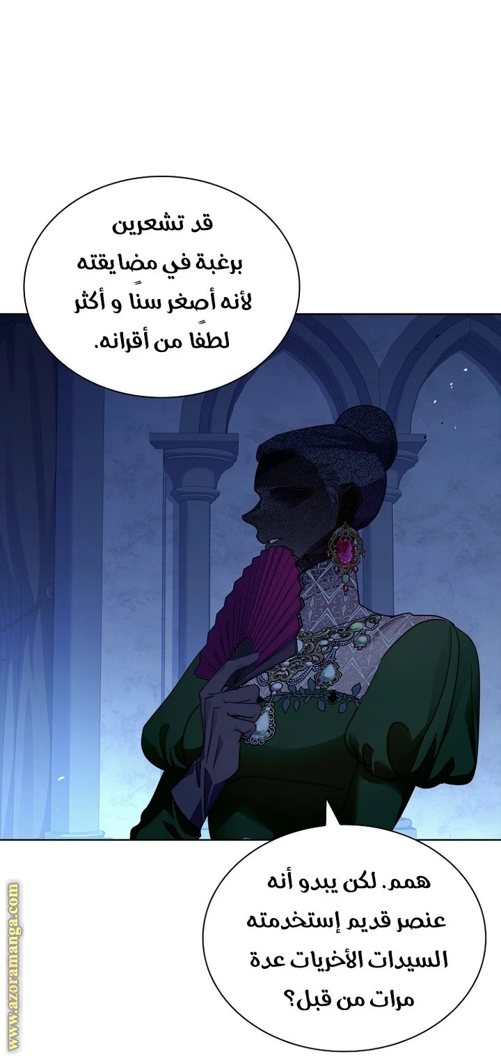 الصفحة 29