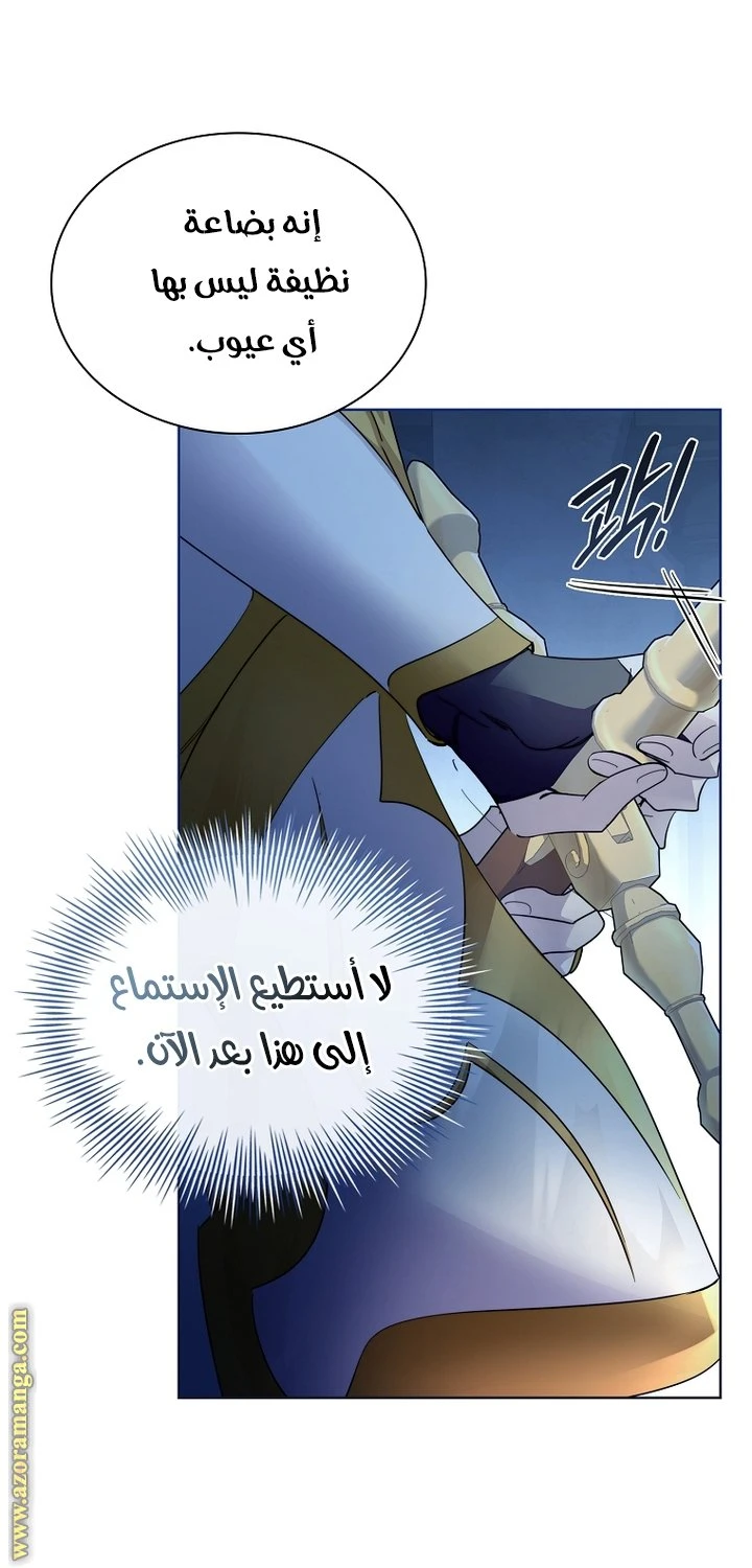 الصفحة 30