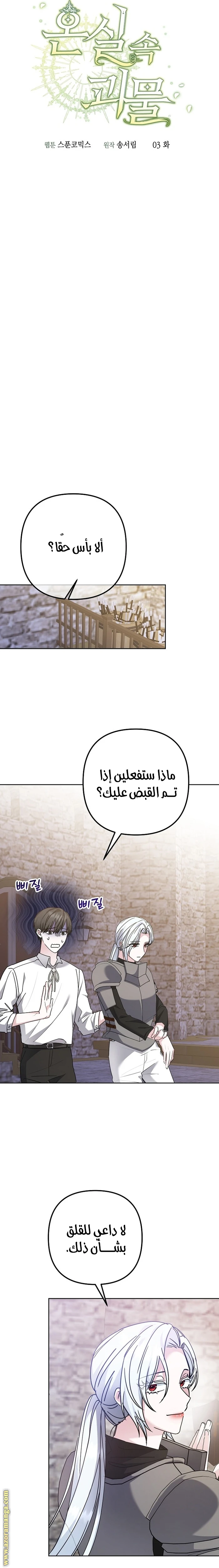 الصفحة 13