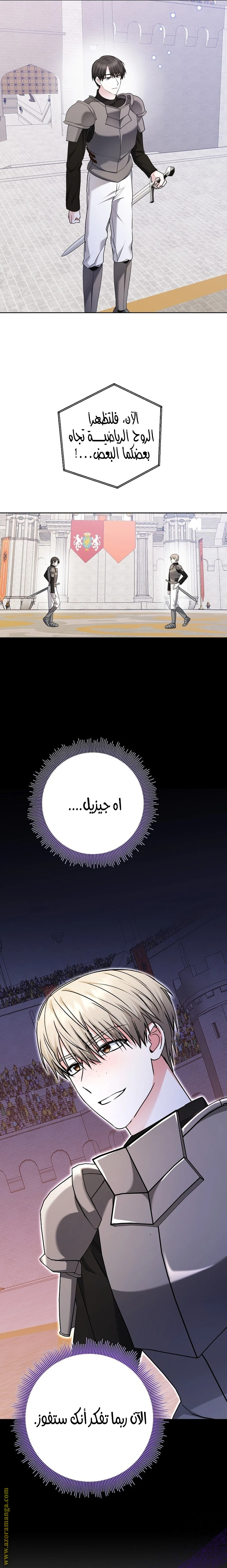 الصفحة 19