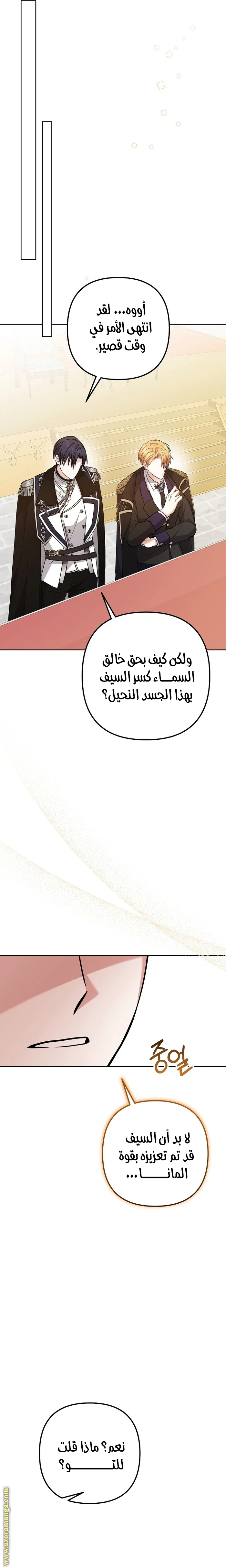 الصفحة 29