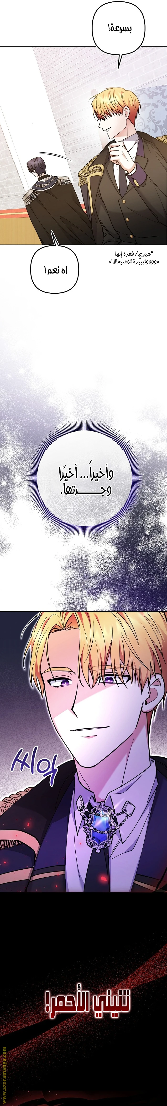 الصفحة 31