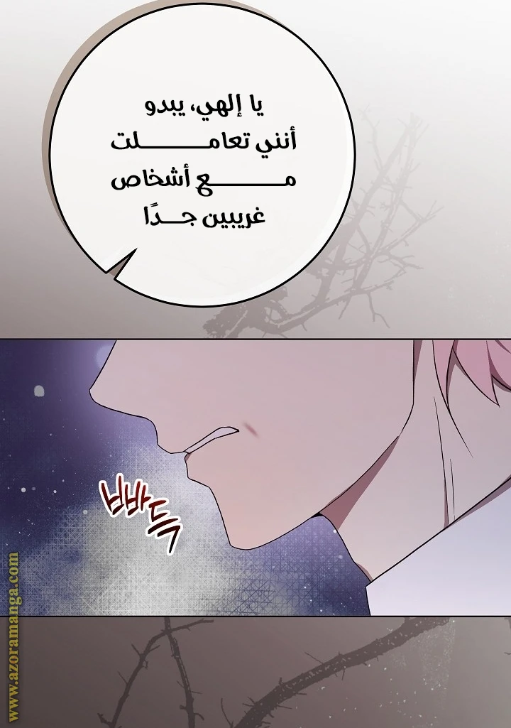 الصفحة 34