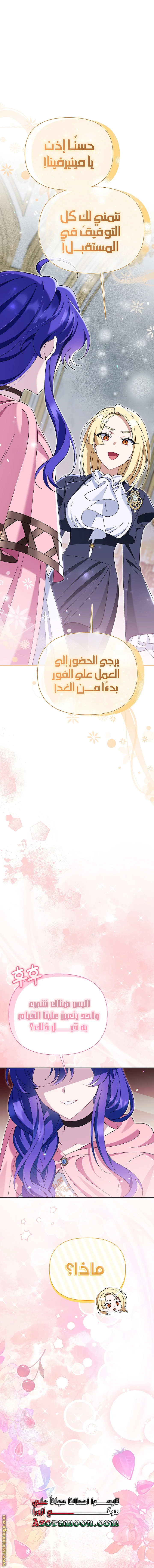 الصفحة 17