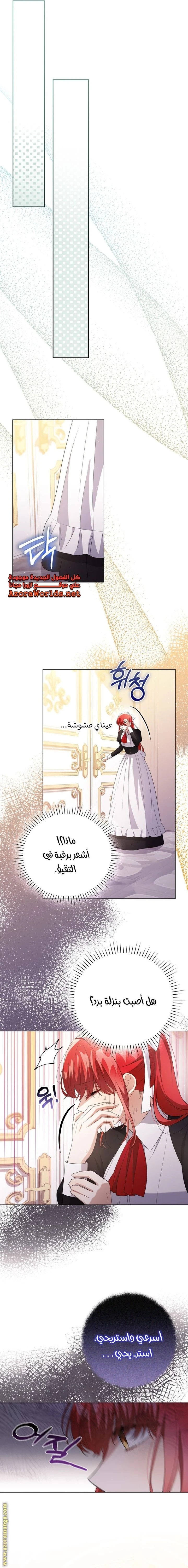 الصفحة 17